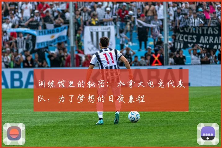 训练馆里的秘密：加拿大电竞代表队，为了梦想的日夜兼程