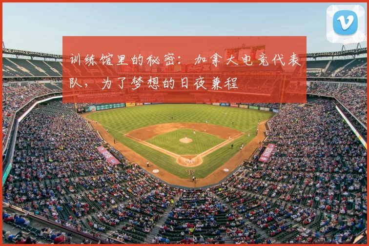 训练馆里的秘密：加拿大电竞代表队，为了梦想的日夜兼程