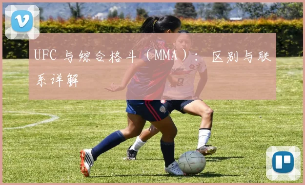 UFC 与综合格斗（MMA）：区别与联系详解