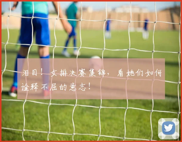 泪目!女排决赛集锦,看她们如何诠释不屈的意志!