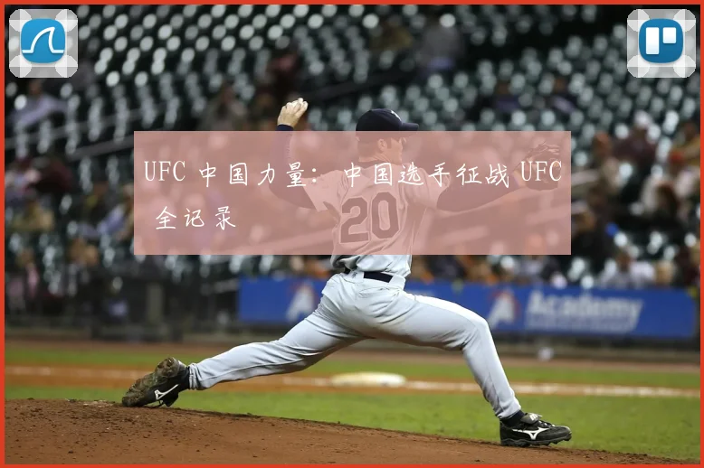 UFC 中国力量：中国选手征战 UFC 全记录